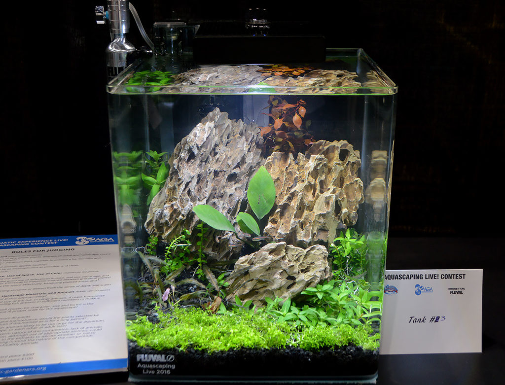 AGA Aquascaping Live 2016 Small Tank Entry #3