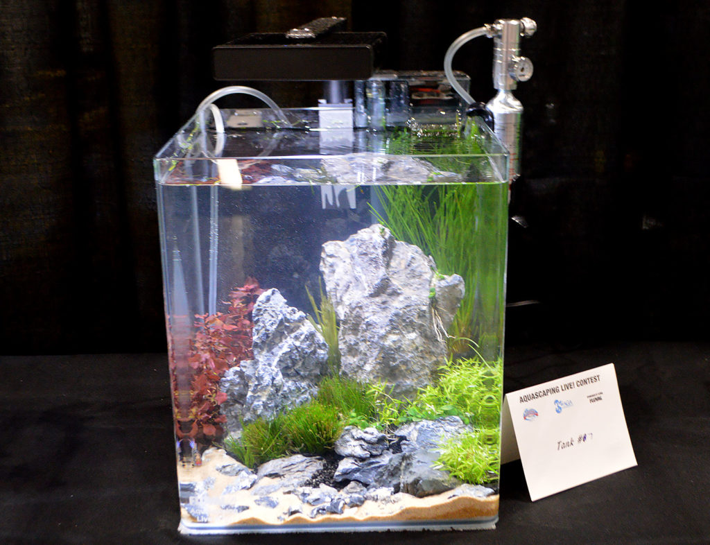 AGA Aquascaping Live 2016 Small Tank Entry #7