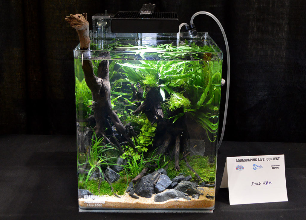 AGA Aquascaping Live 2016 Small Tank Entry #8 - Second Place Award Winner, by Hiep Hong