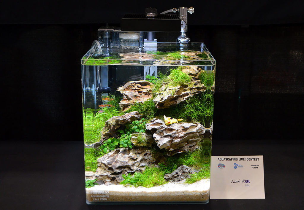 AGA Aquascaping Live 2016 Small Tank Entry #12 - Third Place Award Winner, by Marvin Lo