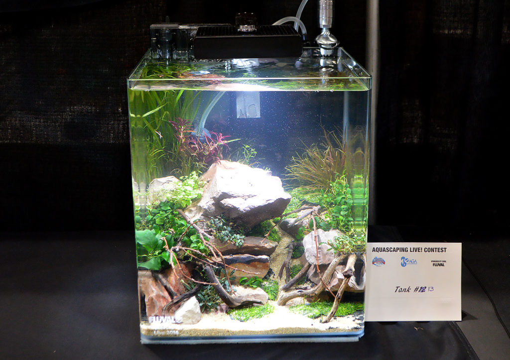 AGA Aquascaping Live 2016 Small Tank Entry #13 - Fifth Place Award Winner, by Shawn McBride