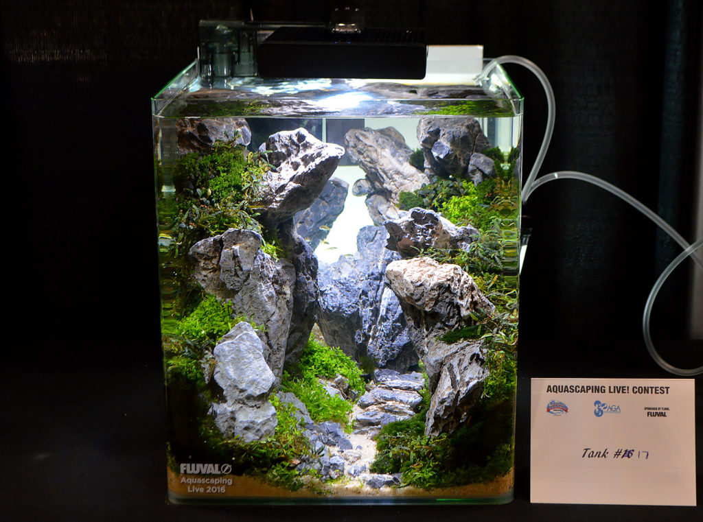 AGA Aquascaping Live 2016 Small Tank Entry #17 - First Place Award Winner, by John Pini