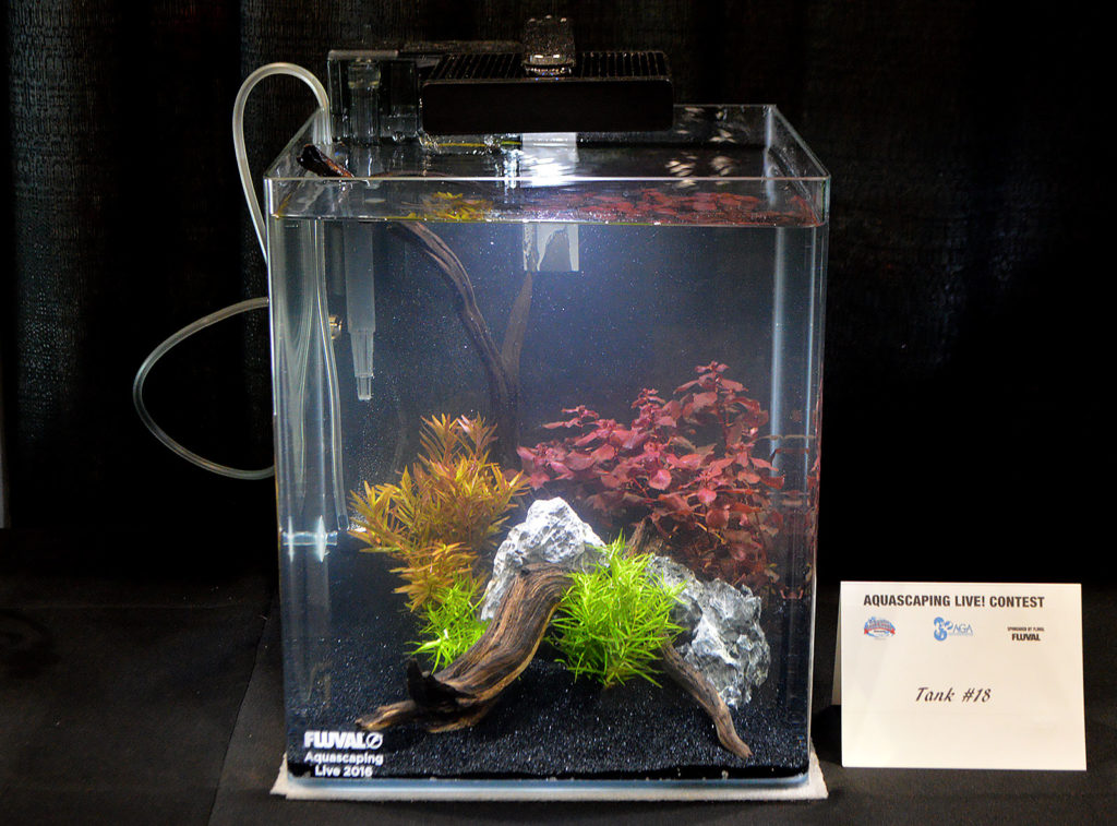 AGA Aquascaping Live 2016 Small Tank Entry #18