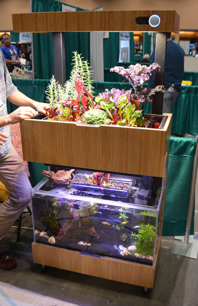 Aquaponics had a stylish presence at the Aquatic Experience; this unit is offered by Grove.