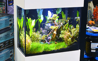 IFALOS™ Kithros Aquarium Wows at Aquatic Experience