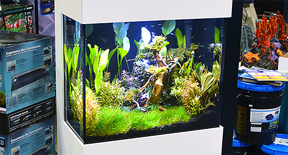 IFALOS™ Kithros Aquarium Wows at Aquatic Experience