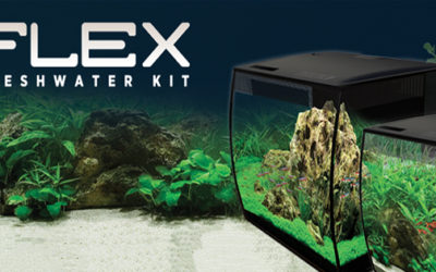 Fluval Introduces New FLEX Freshwater Aquarium Kits