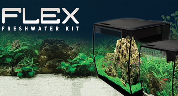 Fluval Introduces New FLEX Freshwater Aquarium Kits