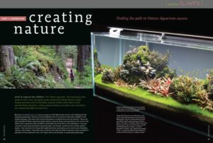 "The 'Nature Aquarium,' that enchanting artist’s garden of stone, wood, and aquatic plants introduced by Takashi Amano, is today drawing newcomers into the freshwater aquarium hobby as never before." Steve Waldron's new series, Creating Nature, will help you find the path to Nature Aquarium success.