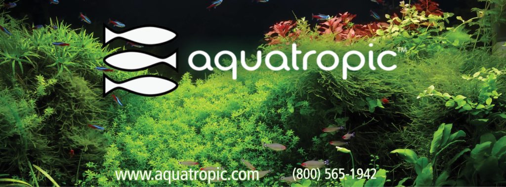 brought to you by AquaTropic