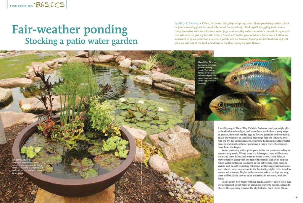 Fair Weather Ponding by Mary Sweeney, as originally published in the May/June 2012 issue of AMAZONAS magazine.
