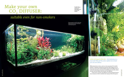 AMAZONAS Magazine “Aquarium Wizardry” Inside Look