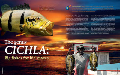 AMAZONAS Magazine “PEACOCK BASS” Inside Look