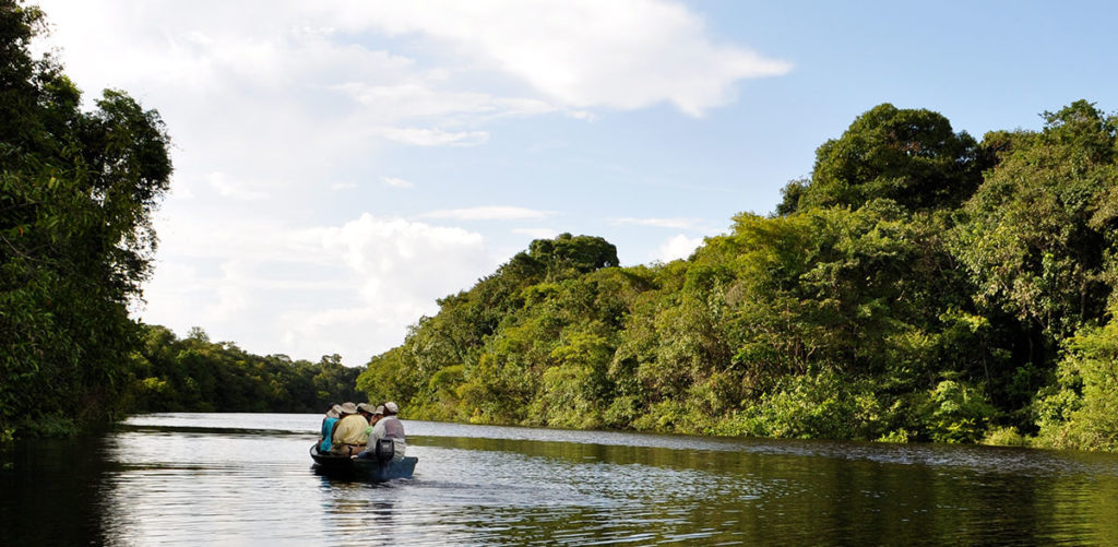 Explore the Rio Negro in this unique opportunity with the Project Piaba team.