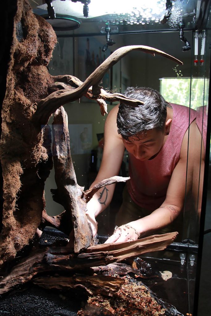 Dr. Adeljean Ho, seen here working on the construction of one of his office vivariums.