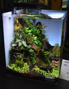 5th place went to the aquascaping entry from Igor Cialenco.