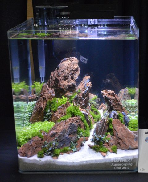 Aquascaping Live! 2017 Small Planted Tanks - AMAZONAS Magazine