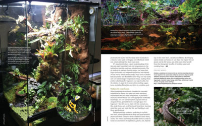 INTERVIEW PREVIEW: Orchids, Dart Frogs and Tiny Fishes