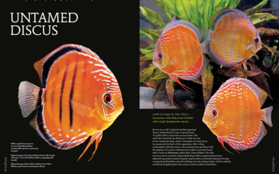 AMAZONAS Magazine “AQUARIUM DISCOVERIES” Inside Look