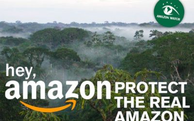 Why It’s Time for Amazon.com to Protect the Real Amazon