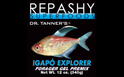 Repashy’s Latest Freshwater Fish Diet: Igapó Explorer