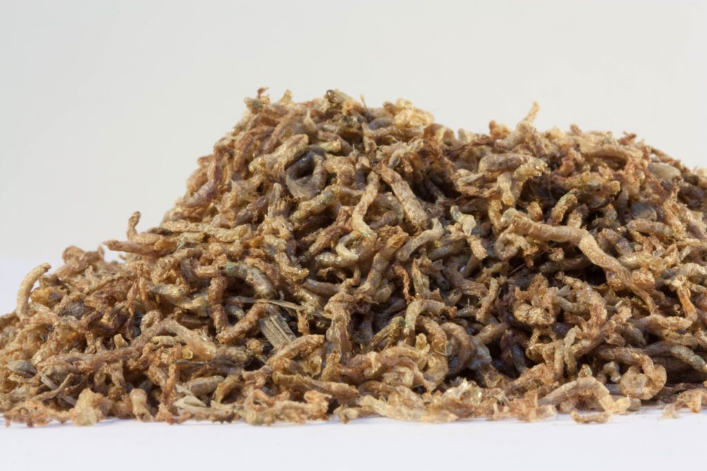 Freeze-dried bloodworms are a popular and highly effective aquarium fish food. Inhaled dust-sized particles from these products could cause a hypersensitive reaction. Image courtesy San Francisco Bay Brand.