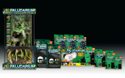 Dedicated Products for Paludarium Enthusiasts