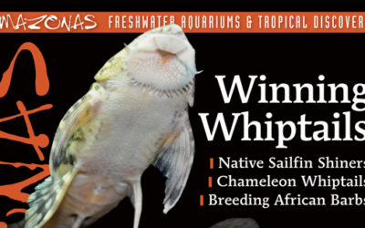 AMAZONAS May/Jun 2019: Winning Whiptails