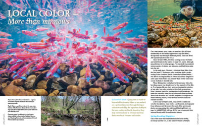 AMAZONAS Magazine “NATURALLY NATIVES” Inside Look!