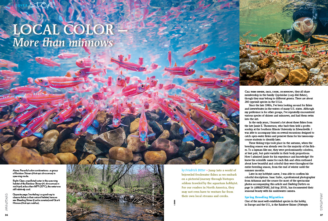AMAZONAS Magazine 