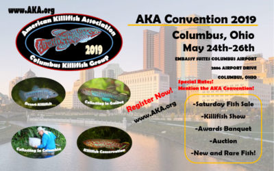 AKA Killifish Convention This Week In Ohio