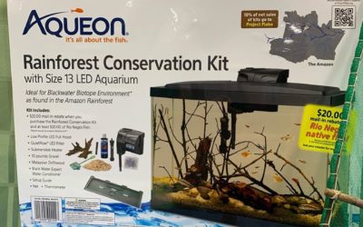 VIDEO: Aqueon & Project Piaba Offer Rainforest Aquarium Kit