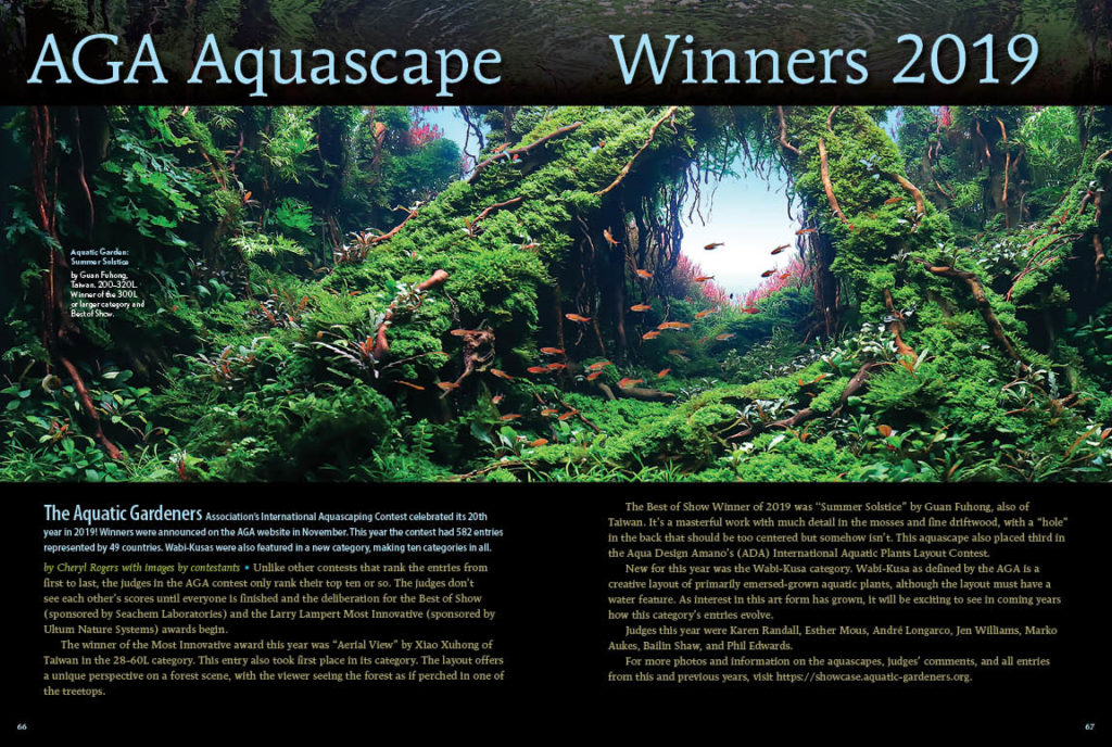 Earlier in the issue, we shared the fundamentals of aquascaping a small, planted aquarium. How far can you go? From beginner to pinnacle of perfection, Cheryl Rogers of the Aquatic Gardeners Association (AGA) introduces the winners of the 2019 AGA International Aquascaping Contest.