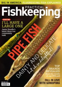 Nathan Hill's editorial features in the May 2020 issue of Practical Fishkeeping, published in the UK.