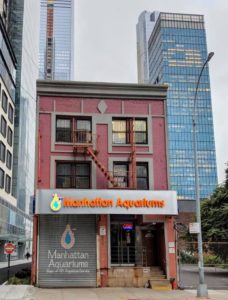 Manhattan Aquariums, located in one of the most heavily impacted cities, has been on a roller coaster ride these past few weeks.