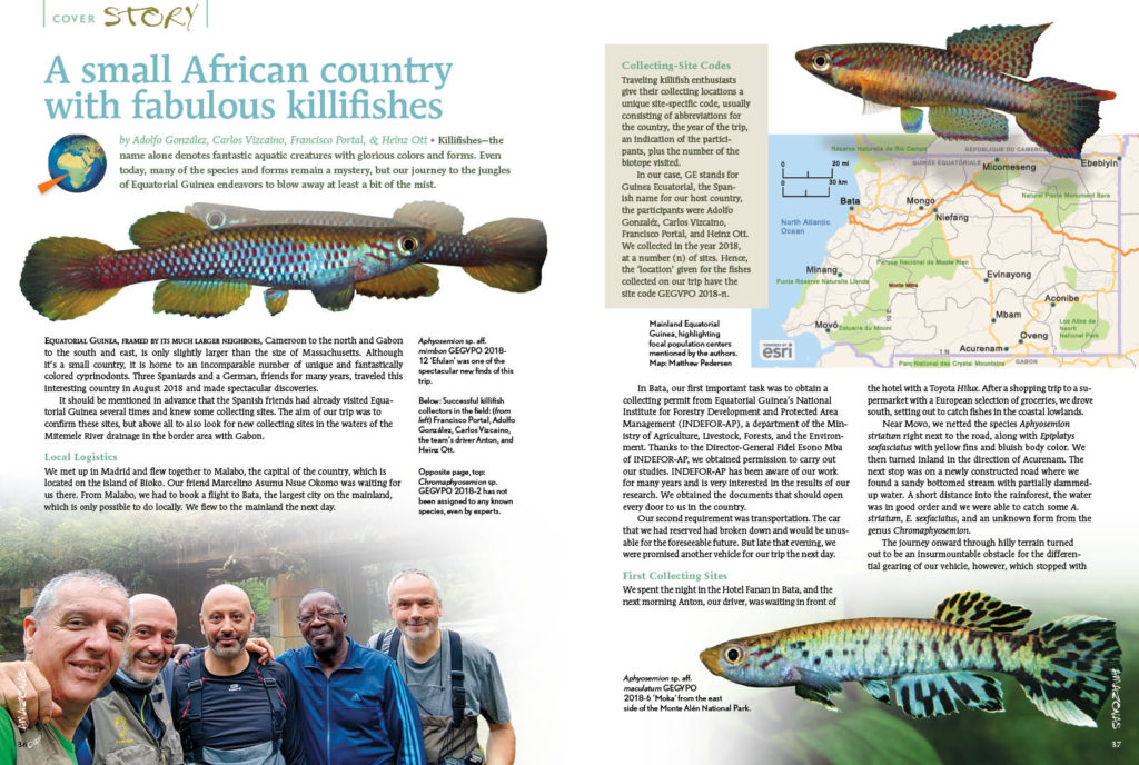 Killifishes—the name alone denotes fantastic aquatic creatures with glorious colors and forms. Even today, many of the species and forms remain a mystery, but our journey to the jungles of Equatorial Guinea endeavors to blow away at least a bit of the mist. As told by Adolfo González, Carlos Vizcaino, Francisco Portal, & Heinz Ott