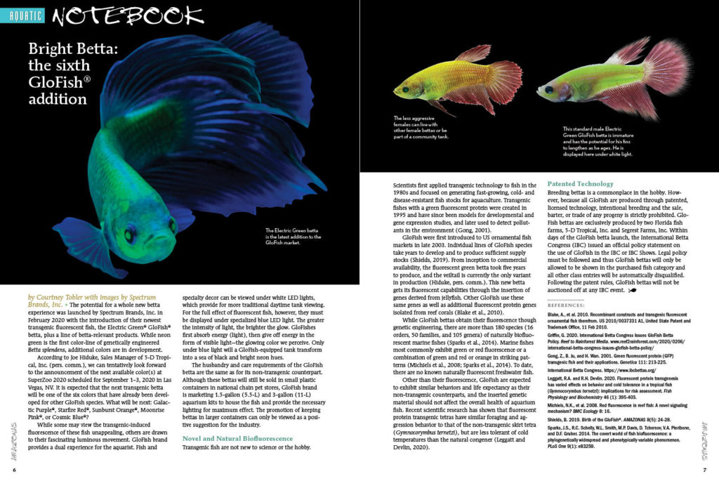 AQUATIC NOTEBOOK returns with our official reporting of Spectrum Brand's Glofish Betta release. Also in this installment, Goodeid Conservation at the Chester Zoo, rediscovery of a lost Hypostomus species, and our report from the 2020 Global Pet Expo in Orlando, Florida.