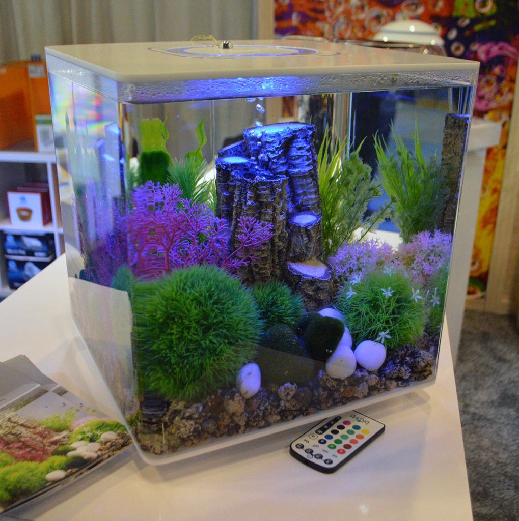 There was no shortage of aquariums on display by OASE Living Waters - shown here is a white biOrb CUBE. Check out our marine coverage for additional examples of the biOrb lineup!