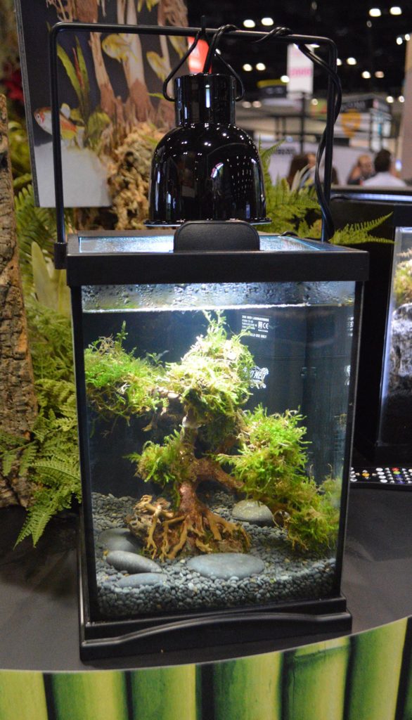 Zoo Med's new Dragon Bonsai Tree, here showing a single-trunk variant in a small aquarium.