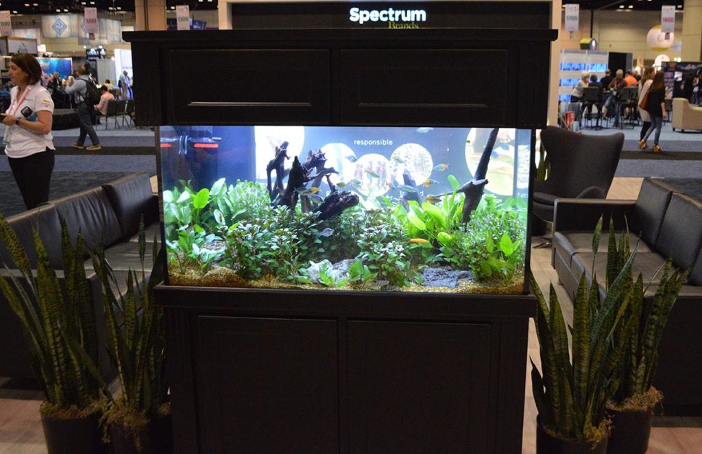 Spectrum Brands decorated their lounging area with a well-scaped rainbowfish-dominated walkaround aquarium.