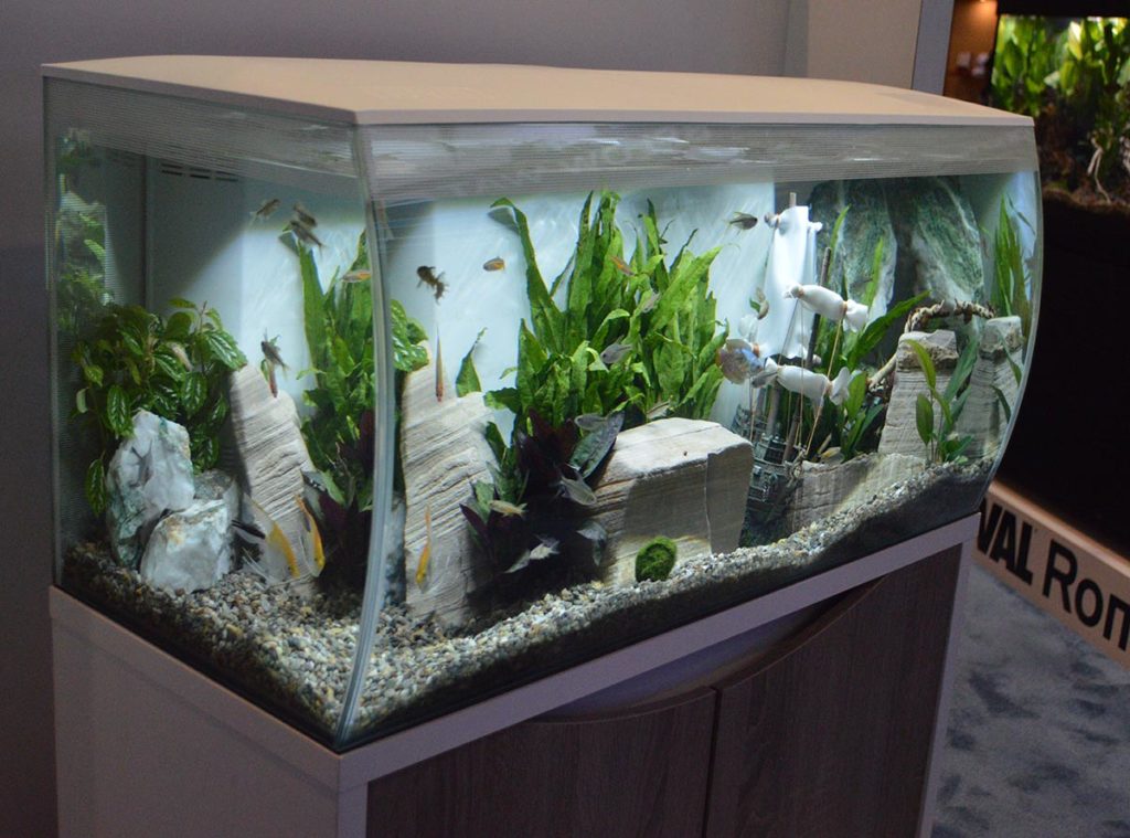 The Freshwater Aquariums and Planted Tanks of Global Pet Expo 2020
