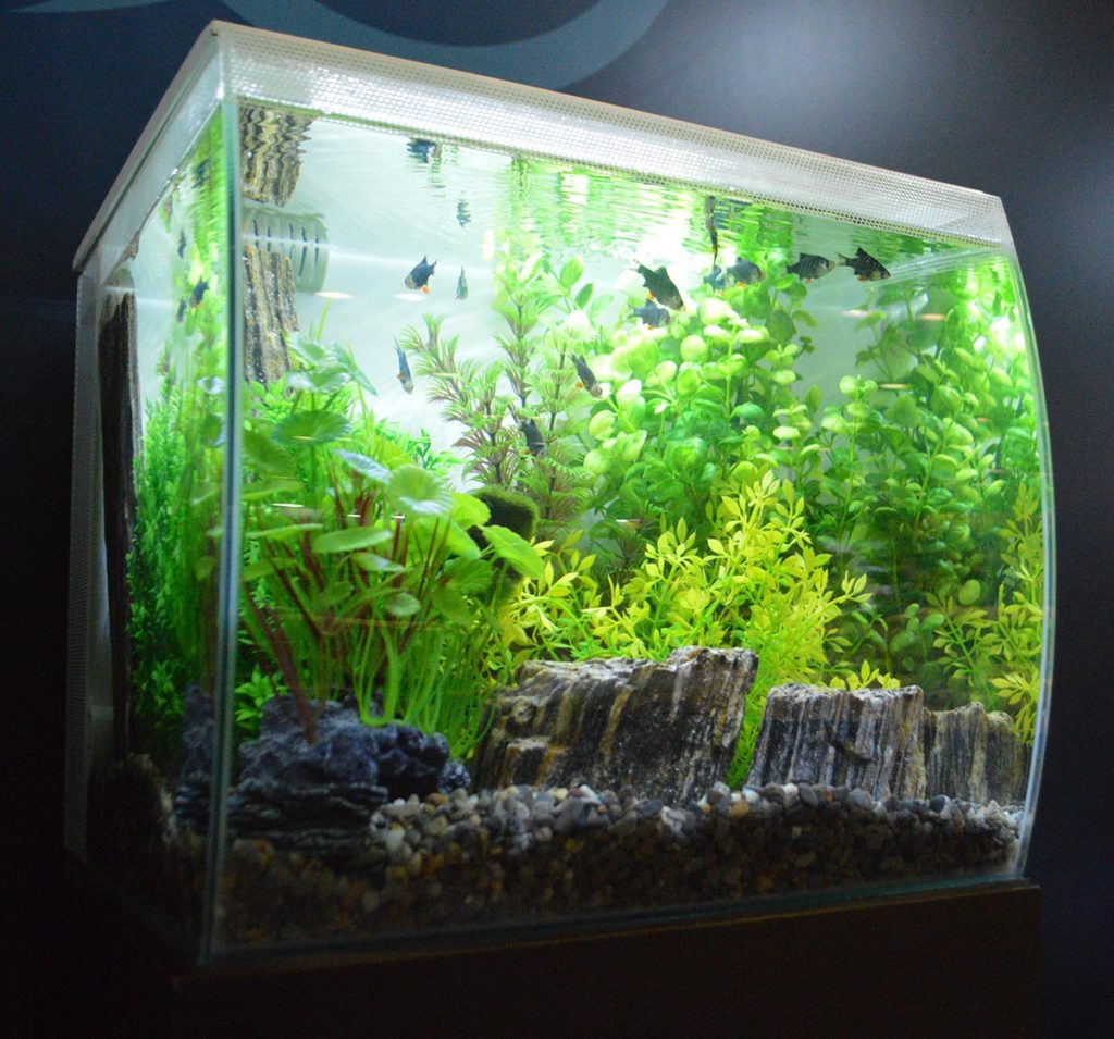 A smaller Fluval Flex aquarium, in white.