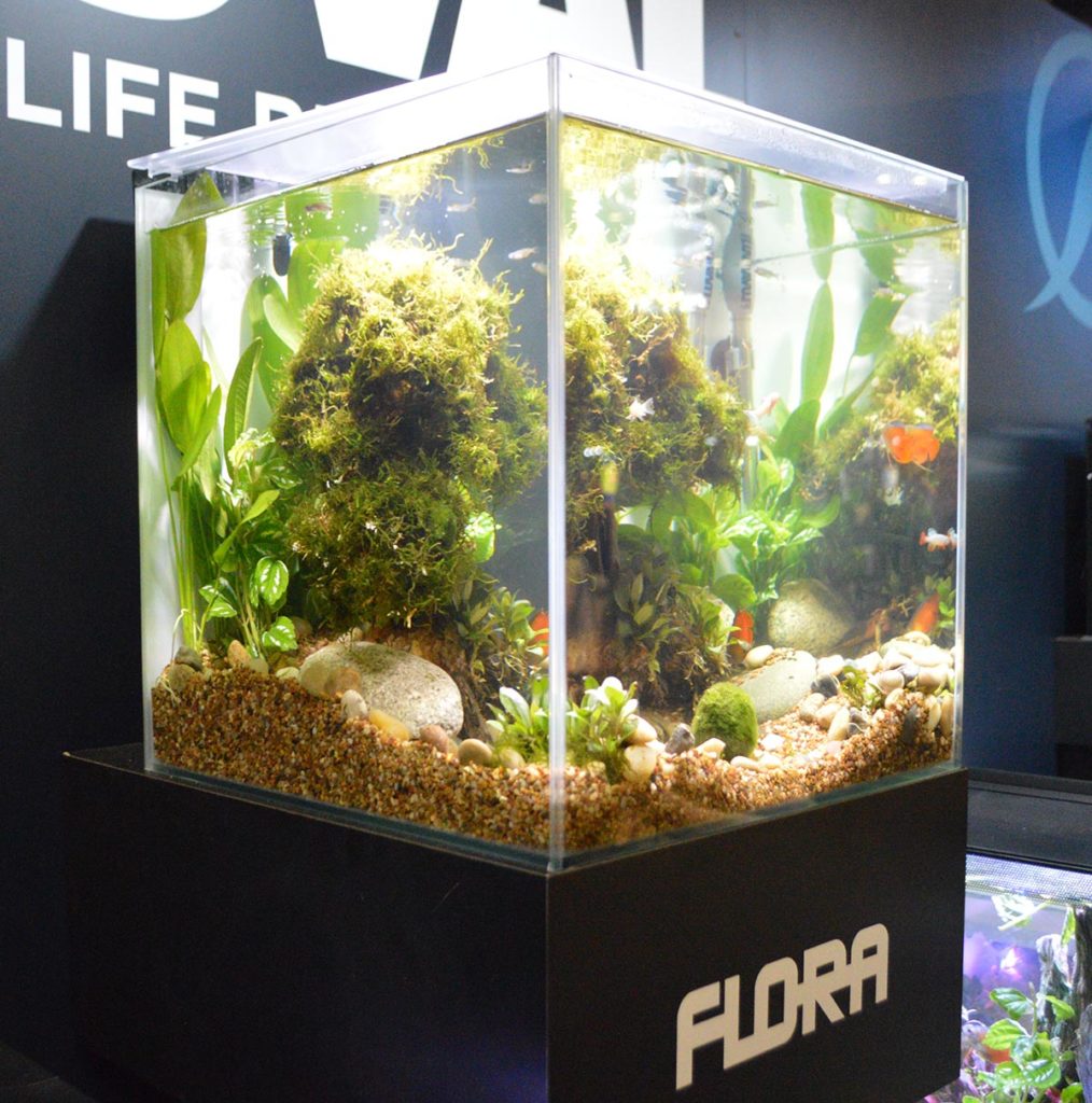 An example of Fluval's FLORA line of aquariums.