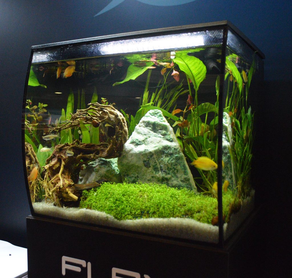 And another Fluval Flex in Black.