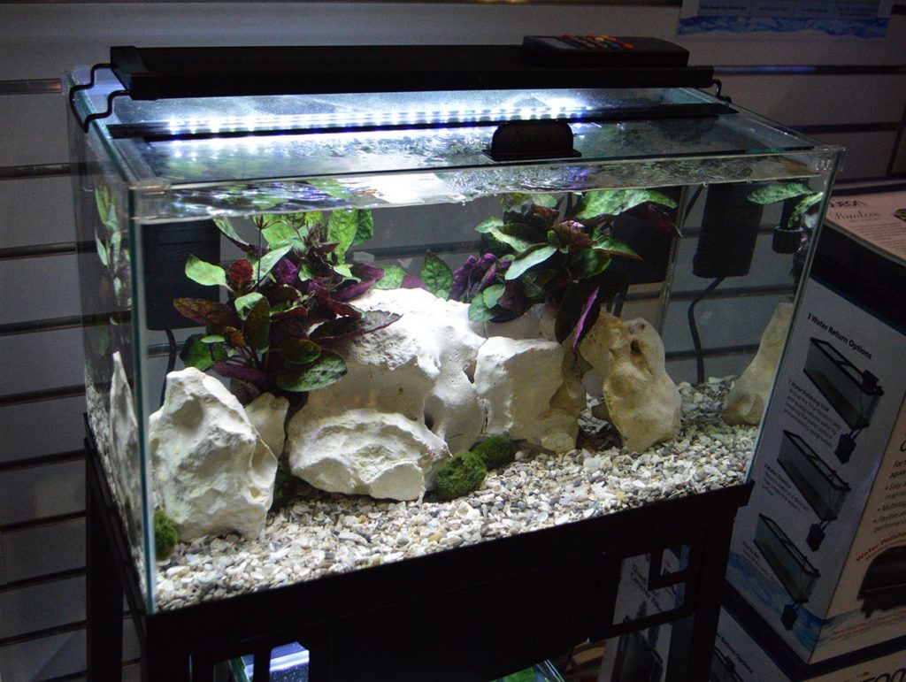 A rimless aquarium from Aqueon.