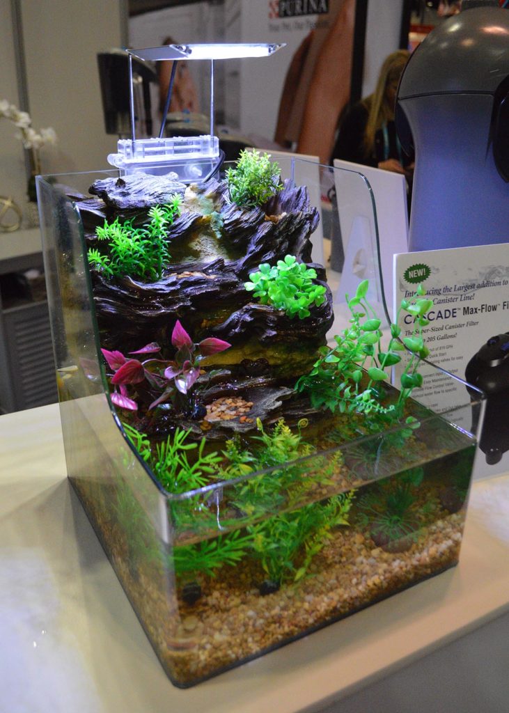 An interesting take on a small, desktop, open-top aquarium from Penn-Plax, the AquaTerrarium PTA1.