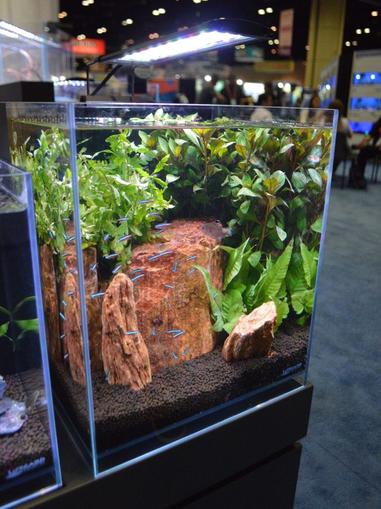 And the largest in the product line, the 8.3 Gallons Elevated Low Iron Ultra Clear Aquarium R460051 from Lifegard Aquatics.