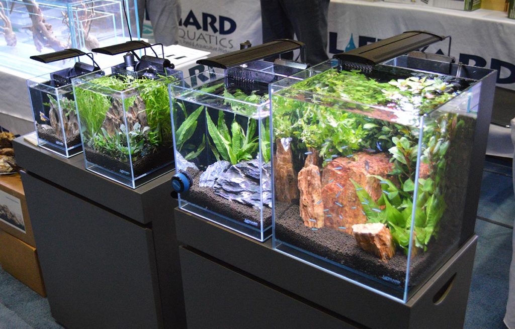 Several Elevated Low Iron Ultra Clear Aquariums from Lifegard were on display at the Dr. Tim's Aquatics booth.