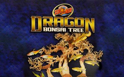 Zoo Med Dragon Bonsai Tree for Aquascaping