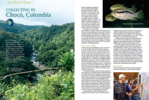Michael Pilack shares a harrowing tale of exploration and fish collecting in Chocó, Colombia.